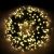 Catena grappolo 20,5 m, mini cluster 1000 led, memory controller, classic
