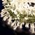Catena grappolo 30,5 m - mini cluster 1500 led con memory controller - bianco classic