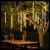 Ice Light Minicluster 13,5 m, 10 nastri, 1080 LED Reflex, bianco caldo