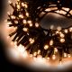 Catena luminosa 5 m 100 led con memory controller bianco caldo tradizionale da esterno