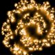 Catena festone grappolo 7,5 m cluster 750 miniled a luce fissa bianco caldo tradizionale da esterno