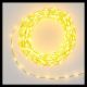 Catena 10 m con 625 microled cavo metal bianco caldo