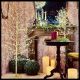 Albero luminoso champagne, h 170cm, 784 microled bianco caldo e bianco freddo, flashled diamond