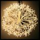 Acquista subito Sfera luminosa bianca Twig Ball, Ø 50 cm, 912 microled flashled, bianco caldo. Spedizione in tutta Italia in 24/48h.