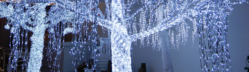 Idee luminose a led per accendere l'albero